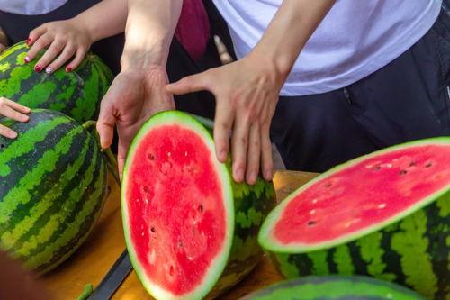 郑州大学免费吃瓜,免费瓜果盛宴，共享清凉时光